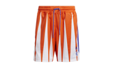 Hoops Summer Essentials Shorts "Eric Emanuel Team Orange" H56397