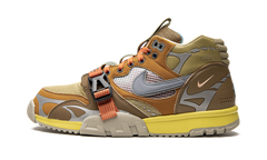 Air Trainer 1 SP "Coriander" DH7338 300