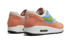 Air Max 1 "Light Madder Root" DV3196 800