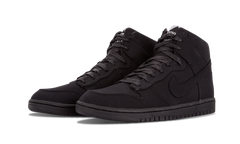 Dunk Lux SP "DSM" 718766 001