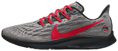 Air Zoom Pegasus 36 "Ohio State" CI2069 001