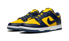 Dunk Low "Michigan" DD1391 700