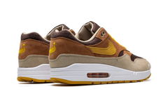 Air Max 1 "Ugly Duckling - Pecan" DZ0482 200