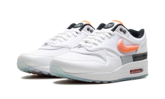 Air Max 1 "Madden" HQ3503 100