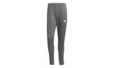 Tiro21 Track Pants "Team Grey Four" GJ9868