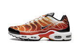 Air Max Plus "Light Photography - Sport Red" DZ3531 600