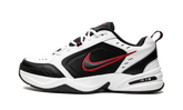 AIR MONARCH IV 415445 101