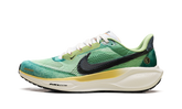 Air Zoom Pegasus 41 "Waffle Racer" IH3583 999