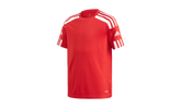 Youth Squad 21 Jersey "Red" GN5746
