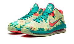 LeBron 9 Low "LeBronald Palmer" DO9355 300