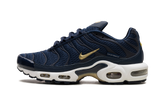 Air Max Plus "FFF" fb3350 400