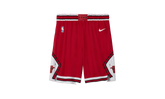 NBA CHICAGO BULLS ICON EDITION SWINGMAN SHORT "University" AJ5593 657
