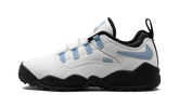 SB Darwin Low "Supreme - Sail" FQ3000 100