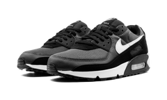 Air Max 90 "Iron Grey" CN8490 002