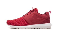 Roshe NM Flyknit PRM 746825 600
