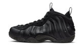 Air Foamposite One "Anthracite" FD5855 001
