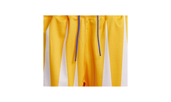 Hoops Summer Essentials Shorts "Eric Emanuel Solar Gold" H48541