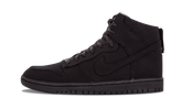 Dunk Lux SP "DSM" 718766 001