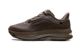 Pegasus Premium "Caldera Brown" IQ5691 200