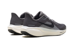 Air Zoom Pegasus 41 "Medium Ash Pure Platinum" FD2722 215