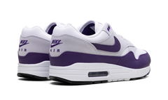 Air Max 1 SC "Field Purple" DZ4549 101