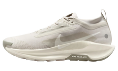 React Pegasus Trail 5 Gore-Tex "Sail" FQ0908 008