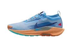 Pegasus Trail 5 Gore-Tex "Blue Beyond" FQ0908 400