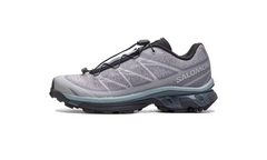 XT-6 Shadow "Gull Grey Violet" L47873800