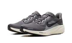 Air Zoom Pegasus 41 "Medium Ash Pure Platinum" FD2722 215