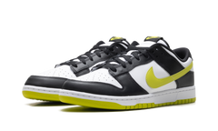 Dunk Low Retro "Black Bright Cactus" DV0833 110