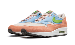 Air Max 1 "Light Madder Root" DV3196 800