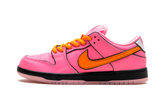 SB Dunk Low "Powerpuff Girls - Blossom" FD2631 600