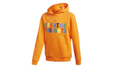 Hooded Sweatshirt "Pharrell Williams" FR9064