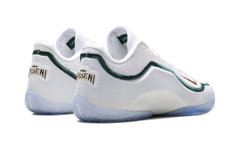 Lebron 23 "From This Point Forward" HJ5629 101