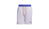 Summer Legend Basketball Shorts "Purple Tint" H24984