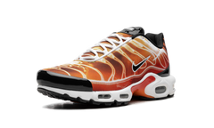 Air Max Plus "Light Photography - Sport Red" DZ3531 600