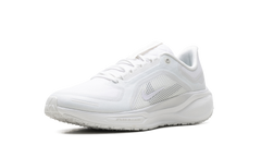 Air Zoom Pegasus 41 "Gore-Tex" FQ1356 101