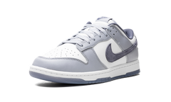 Dunk Low "Light Carbon" FJ4188 100