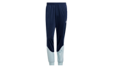 Tricot SST Track Pants HI3005
