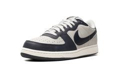 Terminator Low "Georgetown" FN6830 001