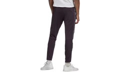 Tiro19 Training Pant "Noble Purple / White" GH6628