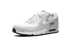 Air Max 90 "Gore-Tex" DJ9779 003