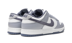 Dunk Low "Light Carbon" FJ4188 100