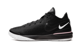 Nike Zoom LeBron NXXT Gen "Black/White" DR8784 003
