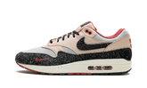 Air Max 1 PRM "Keep Rippin' Stop Slippin' 2.0" FD5743 200