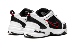 AIR MONARCH IV 415445 101