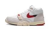 Air Trainer 1 "Split - Chicago" DZ2547 100