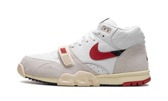 Air Trainer 1 "Split - Chicago" DZ2547 100