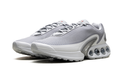 Air Max Dn "Wolf Grey" DV3337 007