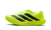 Adizero Evo SL M "Lucid Lemon" JR3416